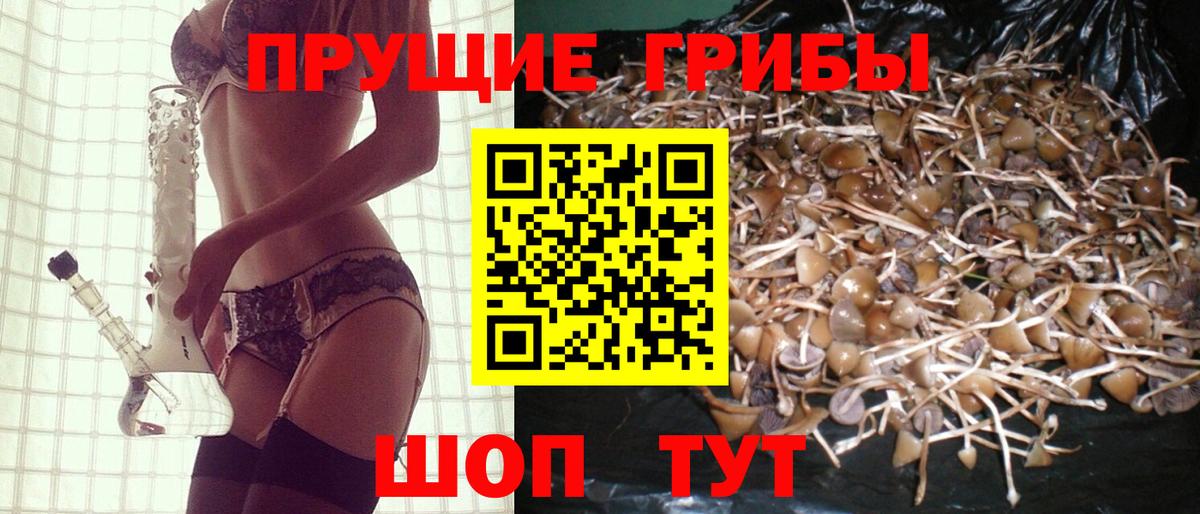 Псилоцибиновые грибы прущие грибы Городец