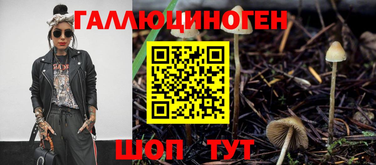 Псилоцибиновые грибы Psilocybe  Вход с VPN  Псилоцибиновые грибы MAGIC MUSHROOMS  Городец 